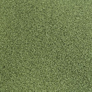 One Putt Turf Green